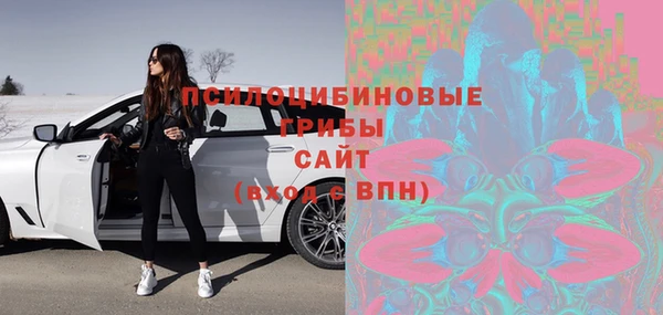 ПСИЛОЦИБИНОВЫЕ ГРИБЫ Абинск